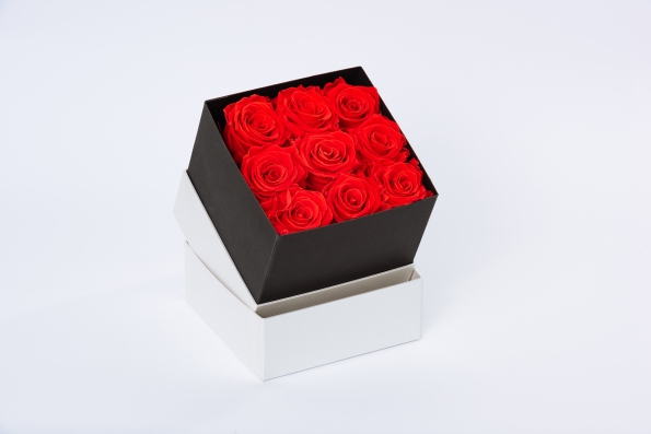 flobox Prestige Rote Rosen konserviert