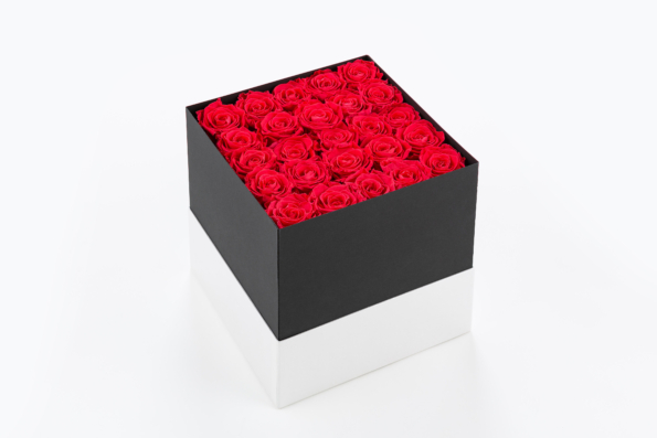 flobox Prestige Rote Rosen konserviert