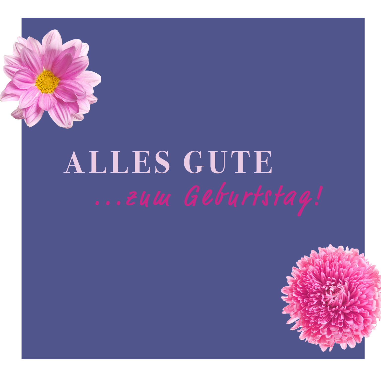 Flobox flobox.at | Edle Blumen in der Box - die Alternative zum Blumenstrauß