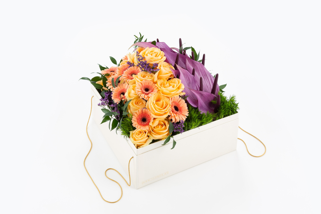 Flobox XXL Day & Night - Flobox