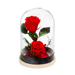 Rote Rosen Glaskuppel