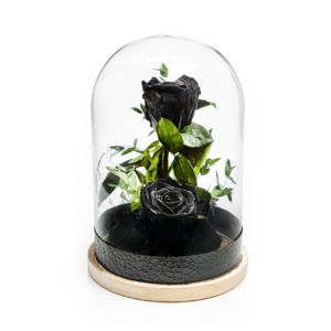 Schwarze Rosen Glaskuppel